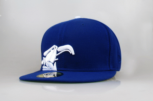 New Era Animal Bikes - Azul