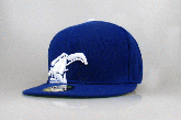New Era Animal Bikes - Azul